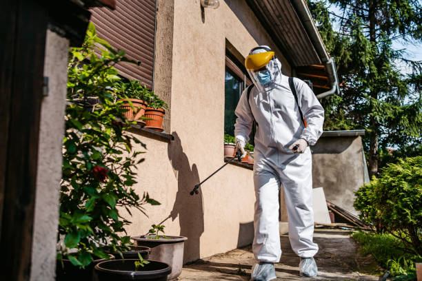 Best Mosquito Control Services  in Lone Pine, CA