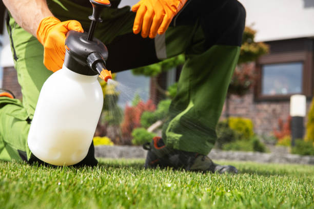 Professional Pest Control in Lone Pine, CA