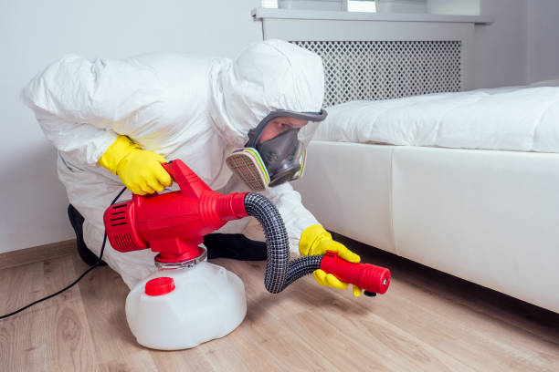 Best Affordable Pest Control Services  in Lone Pine, CA