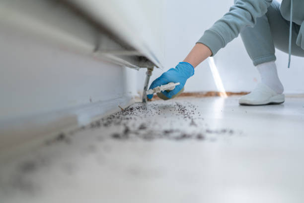 Best Commercial Pest Control Services  in Lone Pine, CA